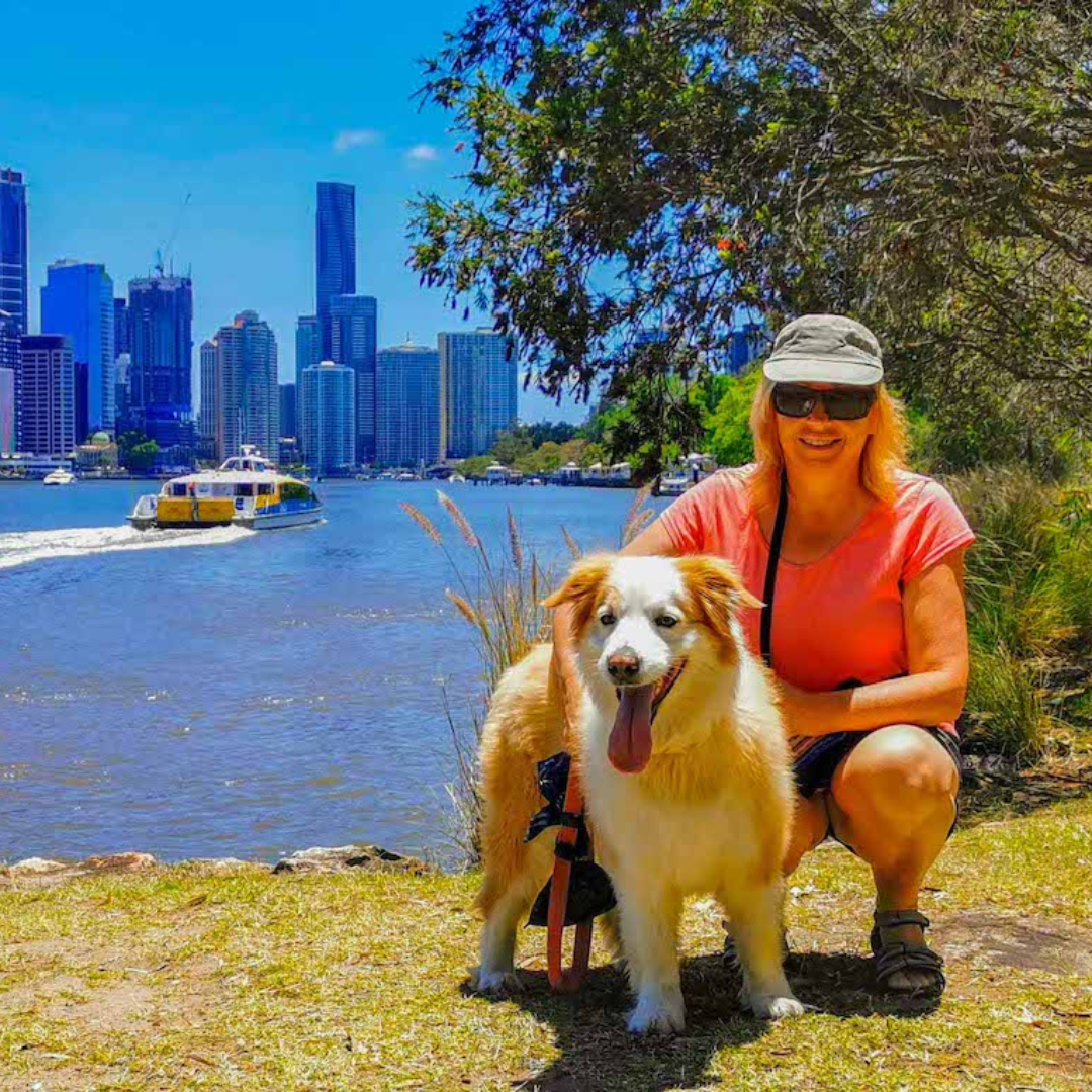 travel is one of the benefits of house sitting for sitters