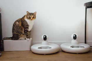 A cat sitting beside a smart pet camera and feeder, part of HouseSit Match's pet emergency guidance and smart home safety approach.